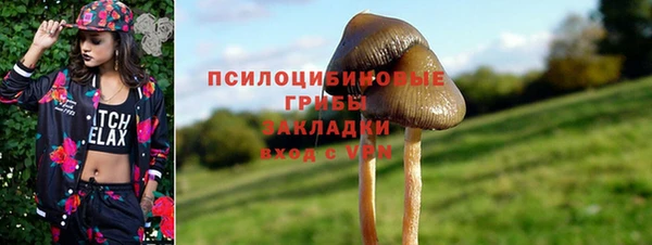 МДПВ Белокуриха