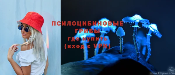 стаф Беломорск