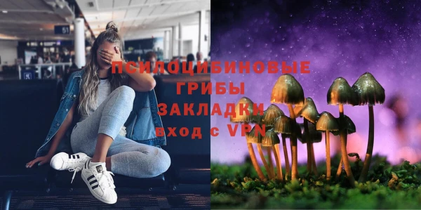 стаф Беломорск